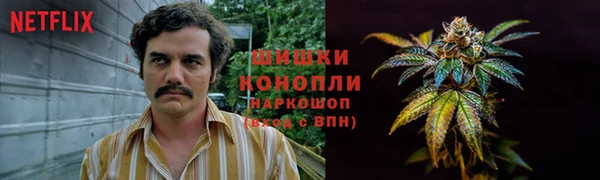 амф Мегион
