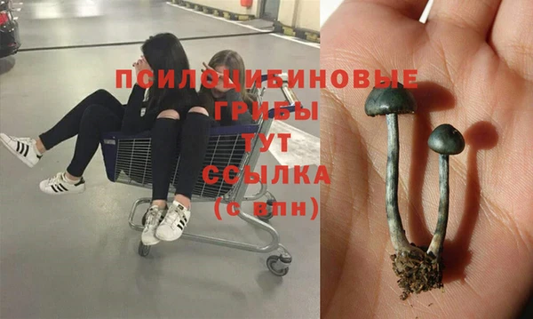 прущая мука Медногорск
