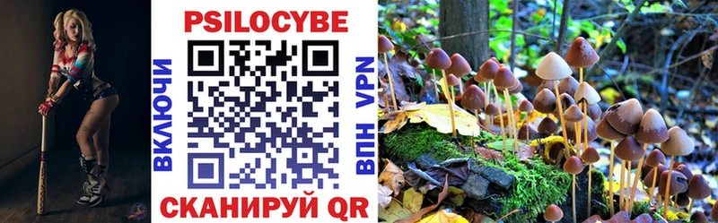 это телеграм  Инза  Псилоцибиновые грибы MAGIC MUSHROOMS 